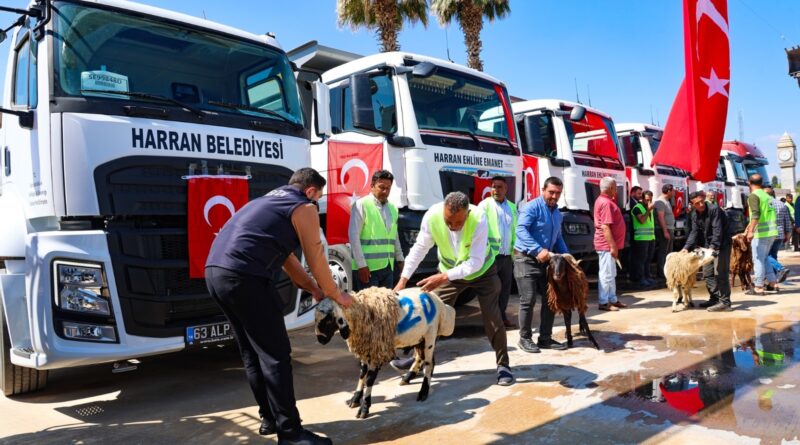 HARRAN BELEDİYESİ ARAÇ FİLOSU ÇOK DAHA GÜÇLÜ HARRAN BELEDİYESİ ARAÇ FİLOSU ÇOK DAHA GÜÇLÜ