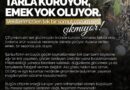 Şanlıurfa’da Sulama Krizi Derinleşiyor: Çiftçinin Emeği Tarlalarda Kuruyor Şanlıurfa’da Sulama Krizi Derinleşiyor: Çiftçinin Emeği Tarlalarda Kuruyor