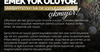 Şanlıurfa’da Sulama Krizi Derinleşiyor: Çiftçinin Emeği Tarlalarda Kuruyor