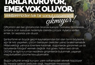 Şanlıurfa’da Sulama Krizi Derinleşiyor: Çiftçinin Emeği Tarlalarda Kuruyor