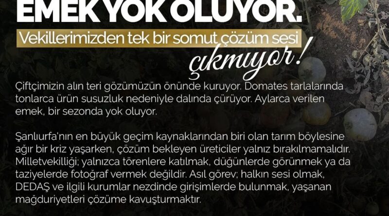 Şanlıurfa’da Sulama Krizi Derinleşiyor: Çiftçinin Emeği Tarlalarda Kuruyor